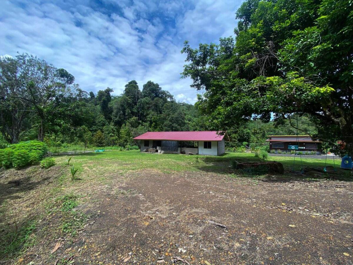 Paong Campsite, Sarawak