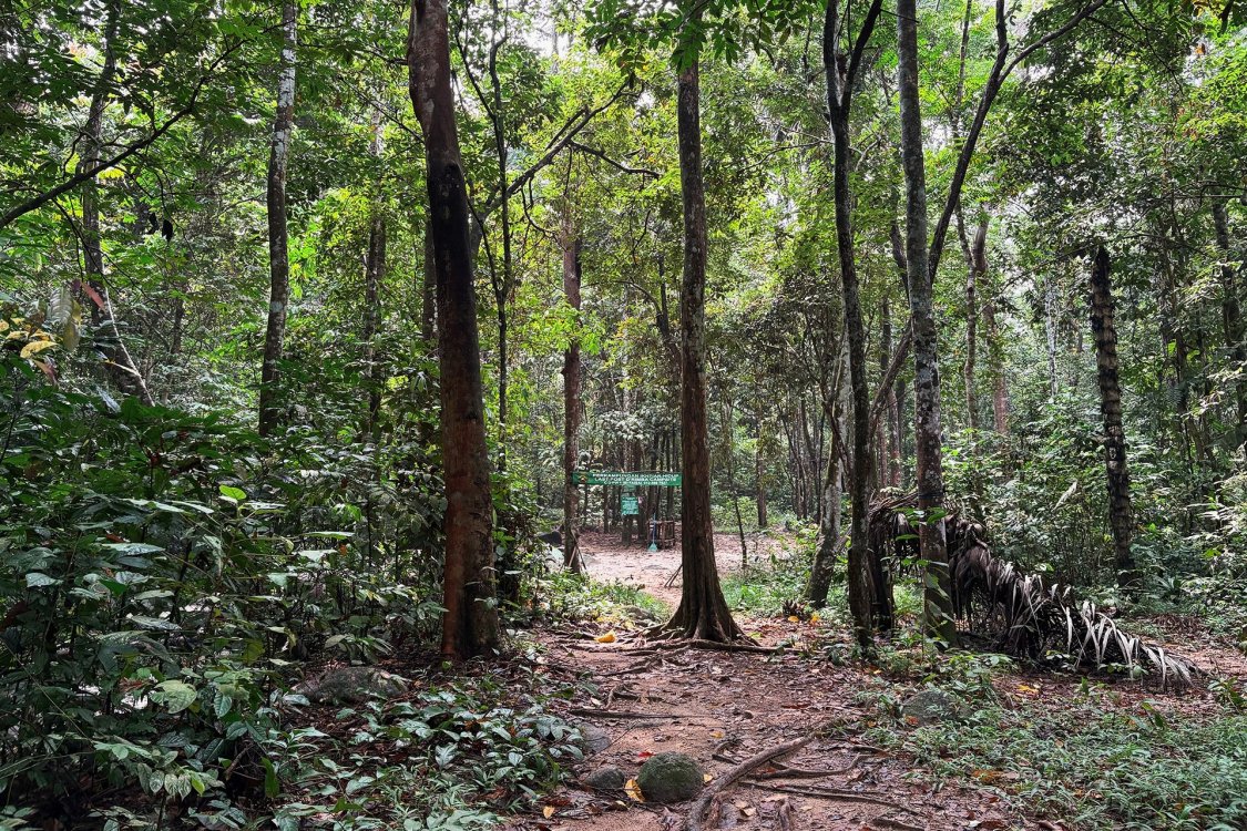 Last Post D'Rimba Campsite & Kafe | Escabee.com