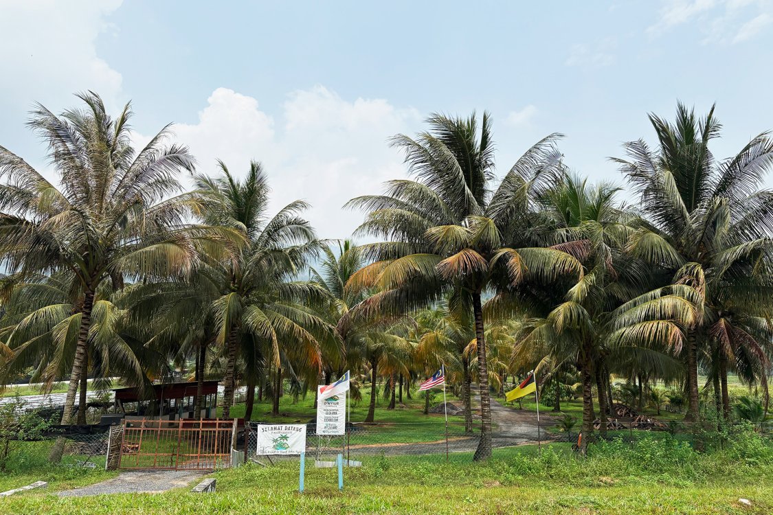 D'Nyiur Campsite | Escabee.com