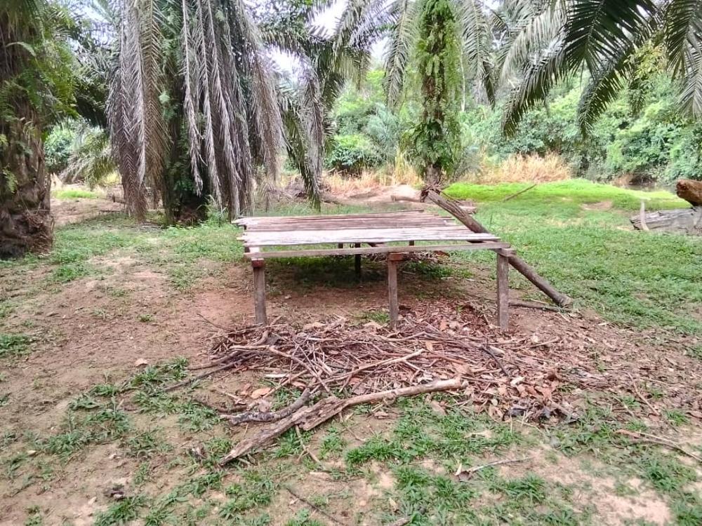 Jahut Campsite | Escabee.com