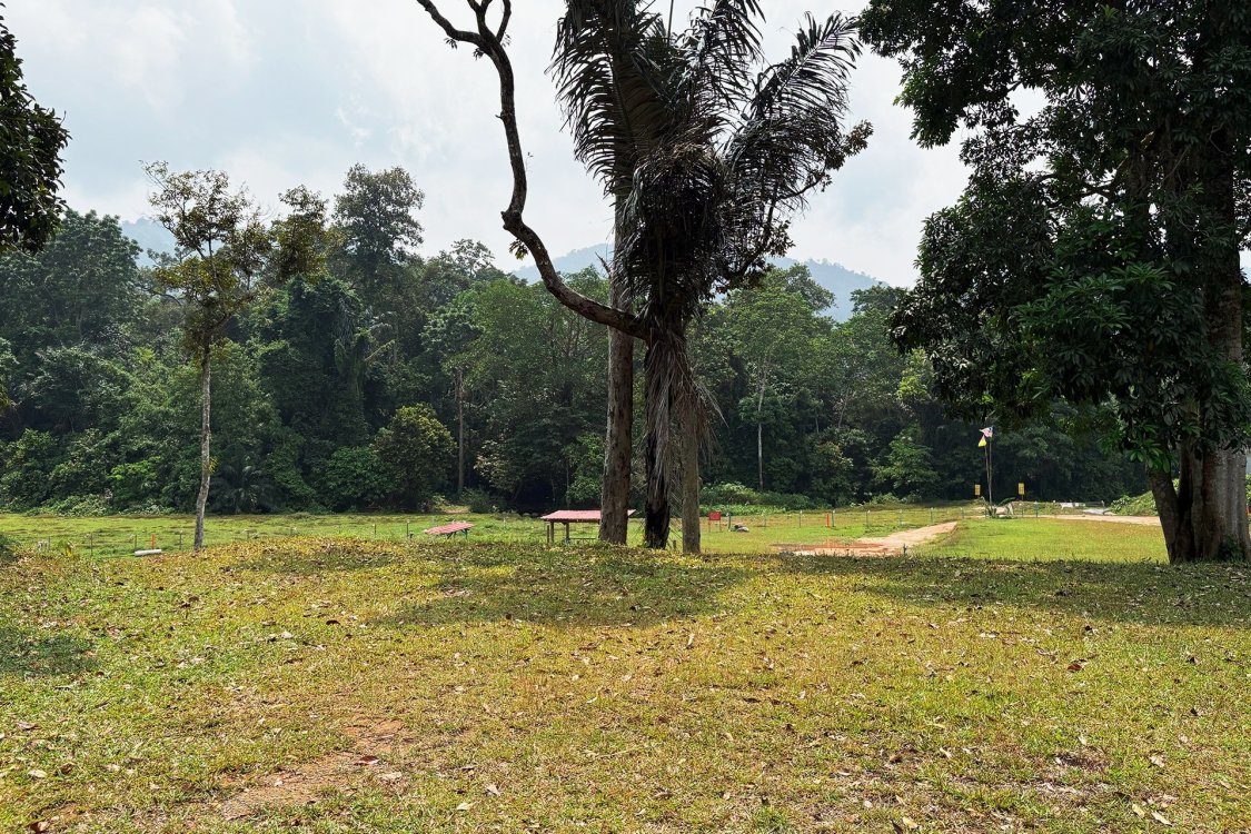 Last Post D'Rimba Campsite & Kafe | Escabee.com