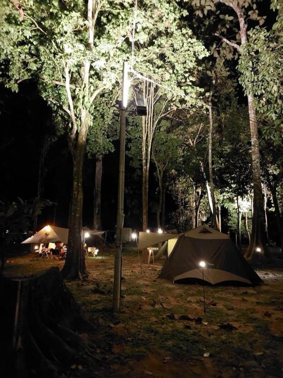 Forest 8 Senses | Escabee.com