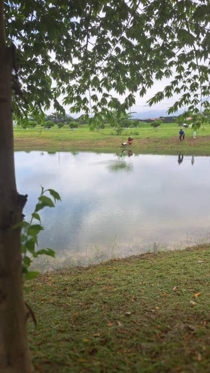 De Sunny Farm and Resort | Escabee.com