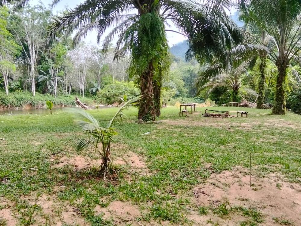 Jahut Campsite | Escabee.com
