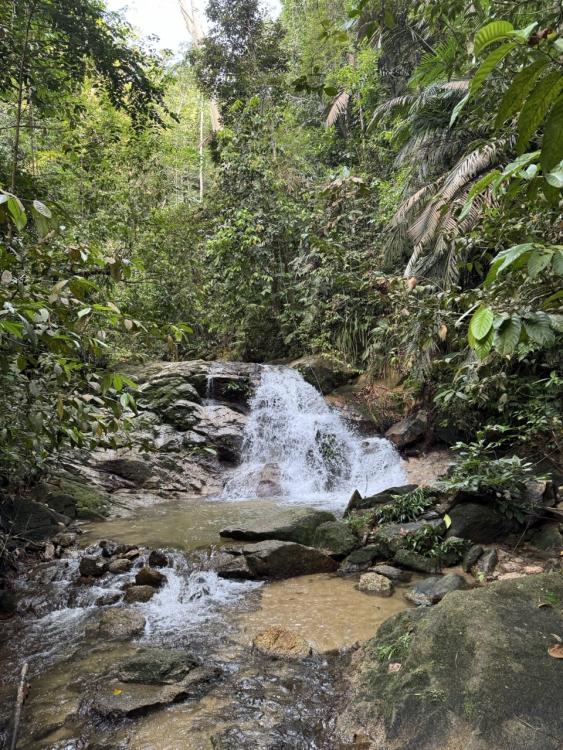 Hijauan Damai Campsite | Escabee.com