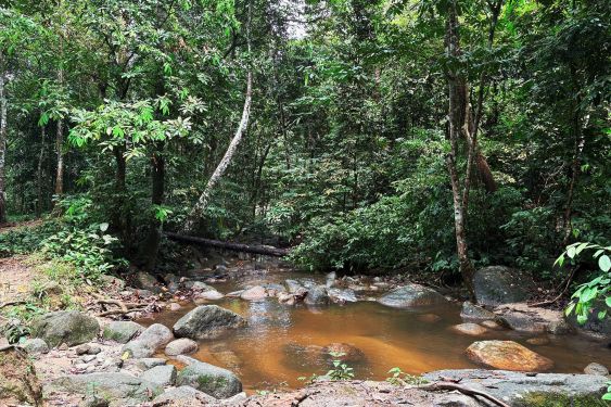 Last Post D'Rimba Campsite & Kafe