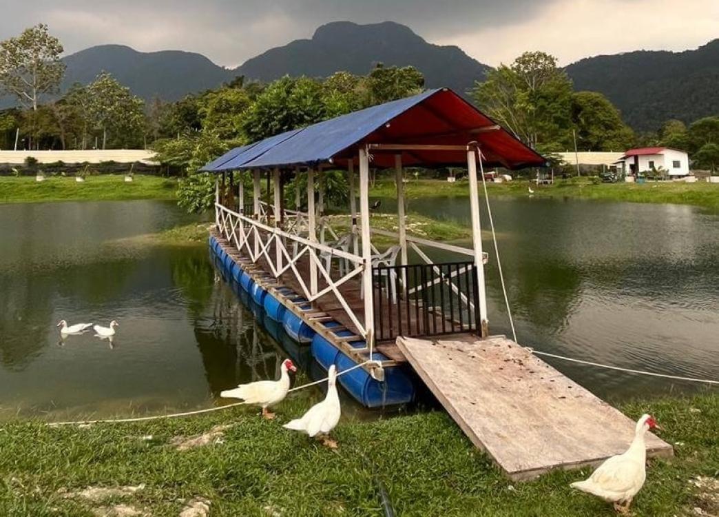 De Sunny Farm and Resort | Escabee.com