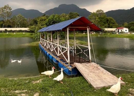 De Sunny Farm and Resort