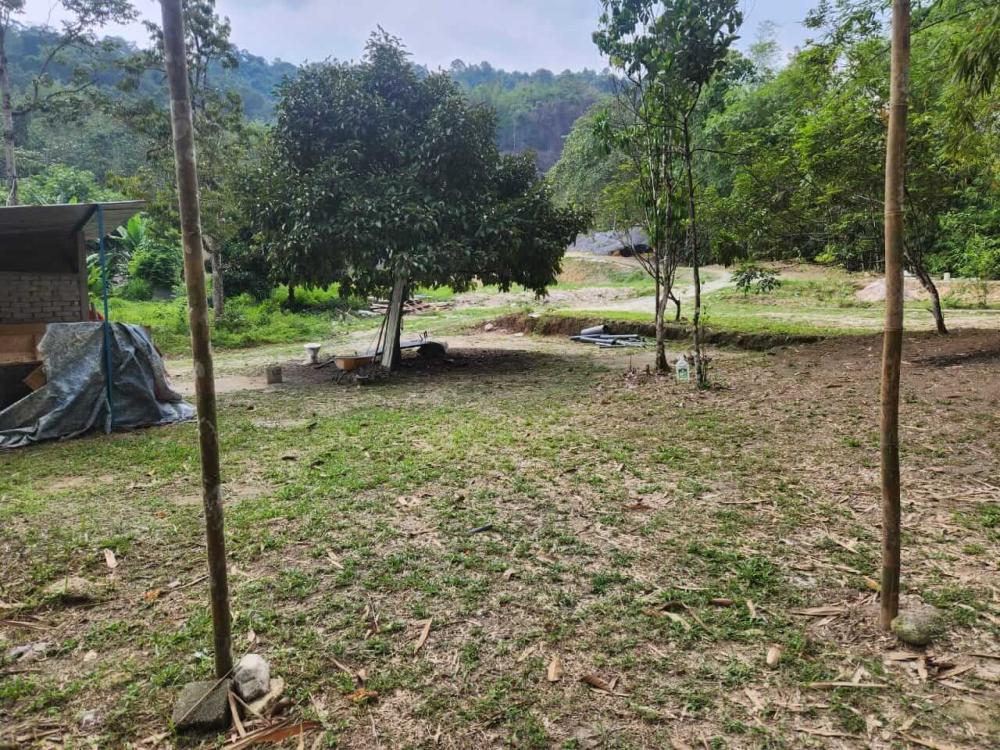 Langat Heritage 13 ( Herlang 13) Campground | Escabee.com