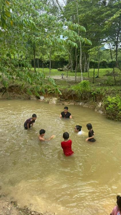 De Sunny Farm and Resort | Escabee.com