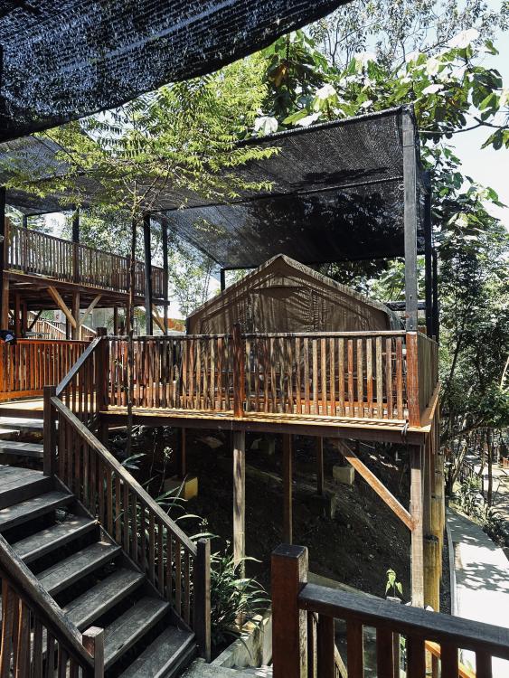 Rasa Hill | Escabee.com