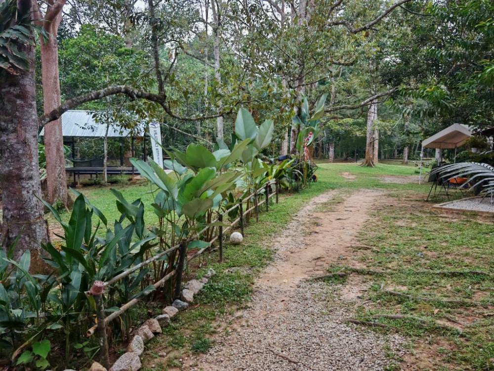 Santai Dusun Campsite | Escabee.com