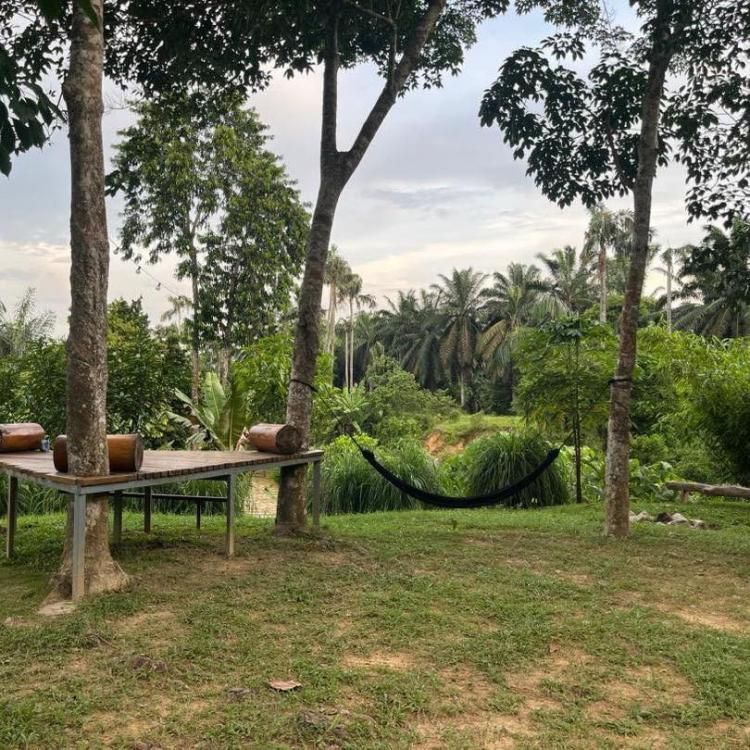 Laman Eden Campsite Kepis | Escabee.com