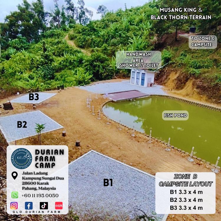 GLO Durian Farm & Camp | Escabee.com