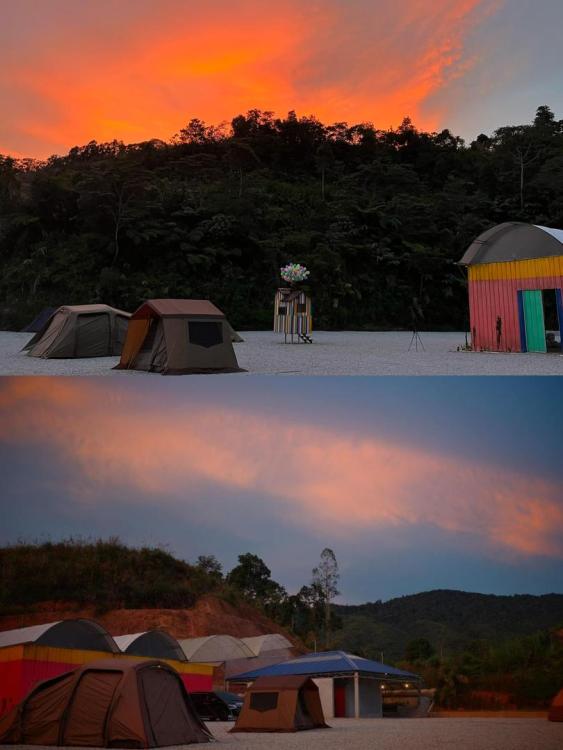 Treegrow Campsite | Escabee.com