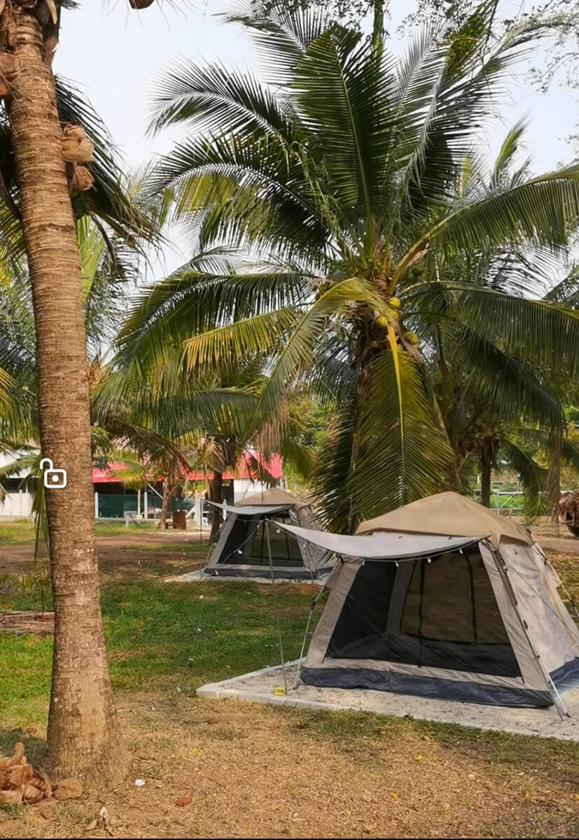 Coconut Orchard Campsite & Chalet | Escabee