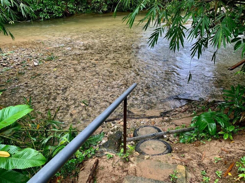 Rimba Jelai Cabin & Wild Camping | Escabee.com