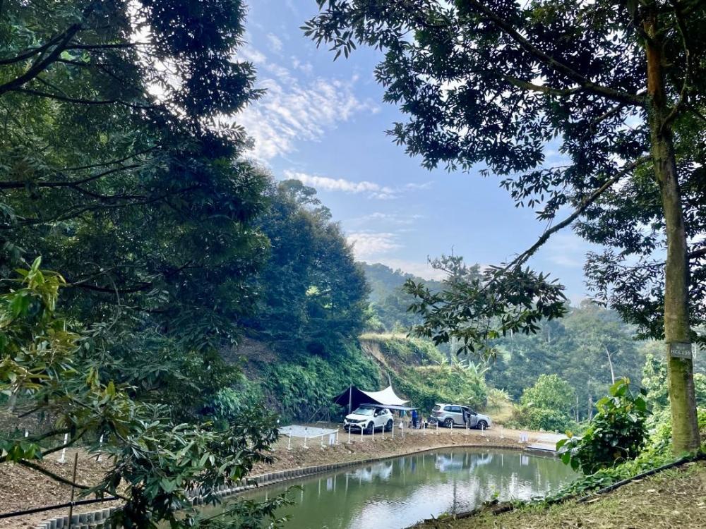GLO Durian Farm & Camp | Escabee.com