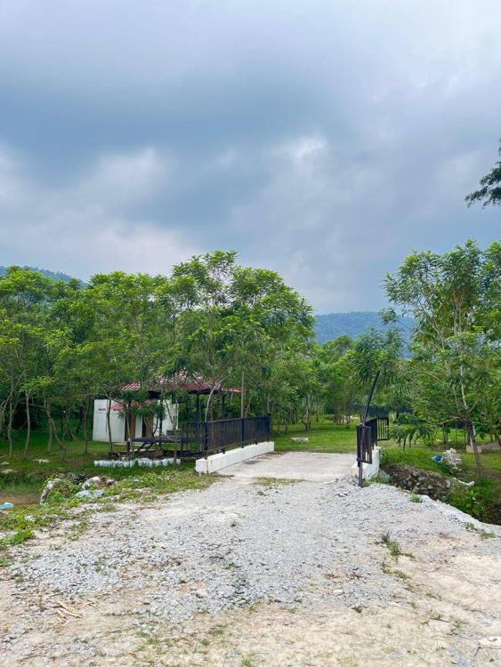 De Sunny Farm and Resort | Escabee.com