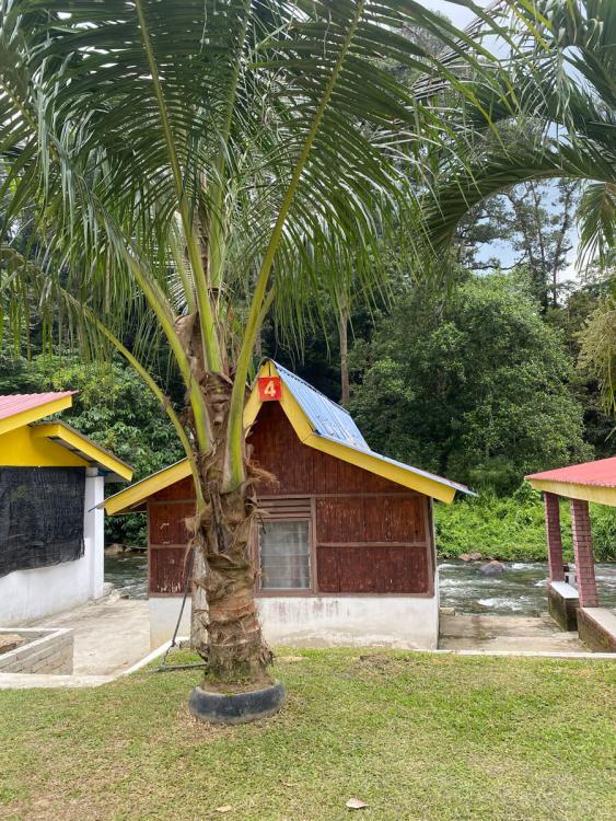 Bamboo Camp | Escabee.com