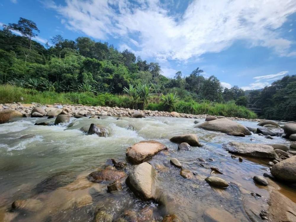 Wind Of Nature Camp | Escabee.com