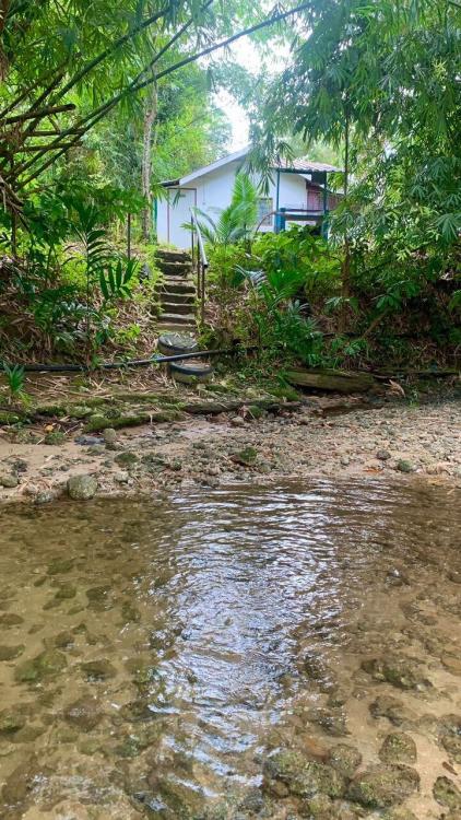 Rimba Jelai Cabin & Wild Camping | Escabee.com