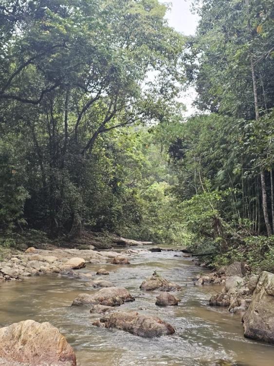 Mori Leka Campsite | Escabee.com