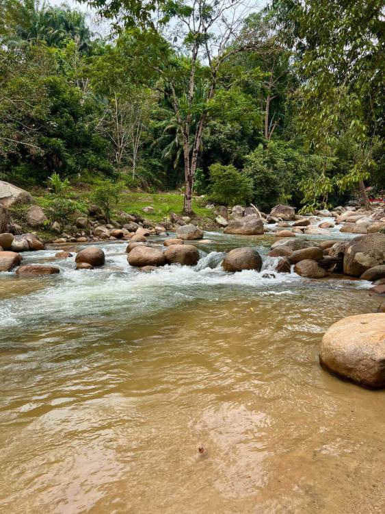 Lata Felda Lawin Selatan | Escabee.com