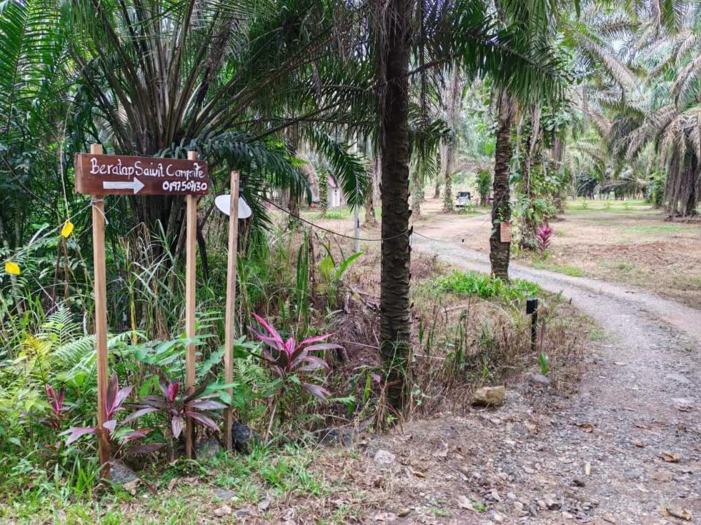 Beratap Sawit Campsite | Escabee.com