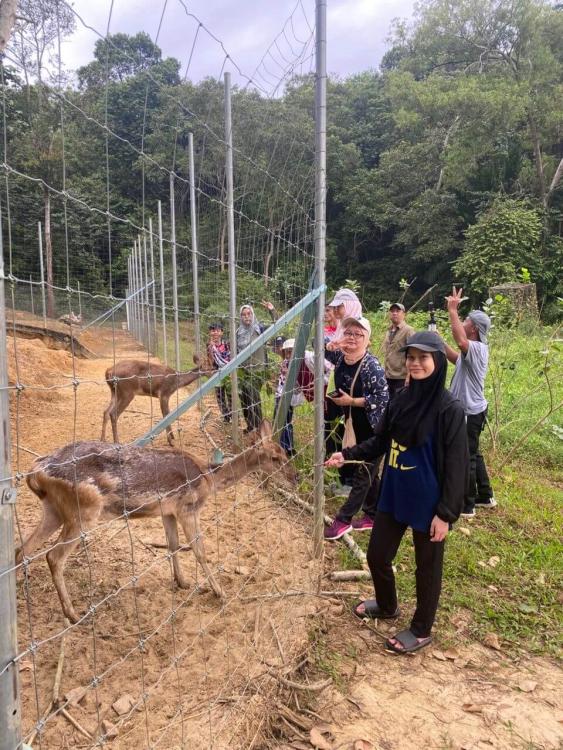 Kebun Teras Dimensi | Escabee.com