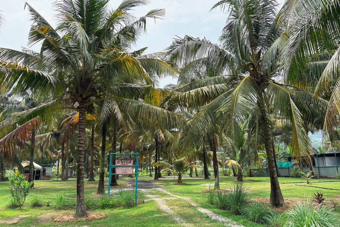 D'Nyiur Campsite | Escabee.com