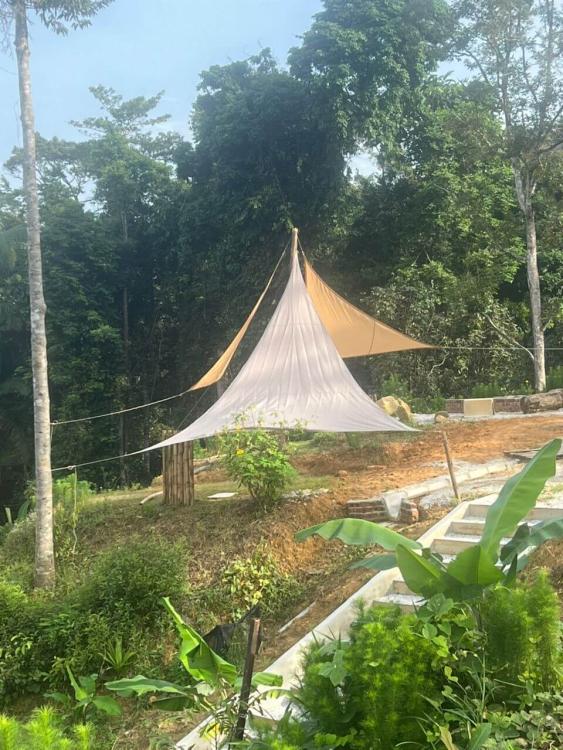 Jerai Nature Glamping | Escabee.com