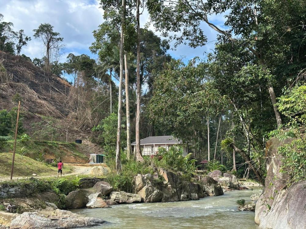 Tanah Chik | Escabee.com