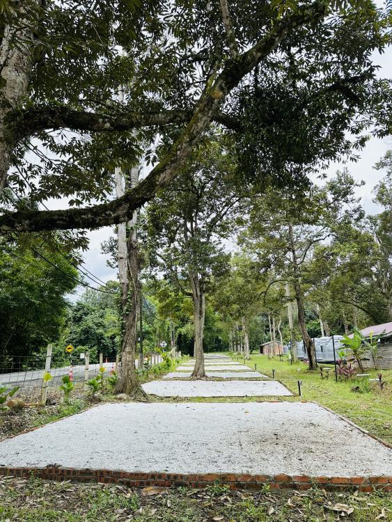 Sg Bil Garden Campsite | Escabee.com