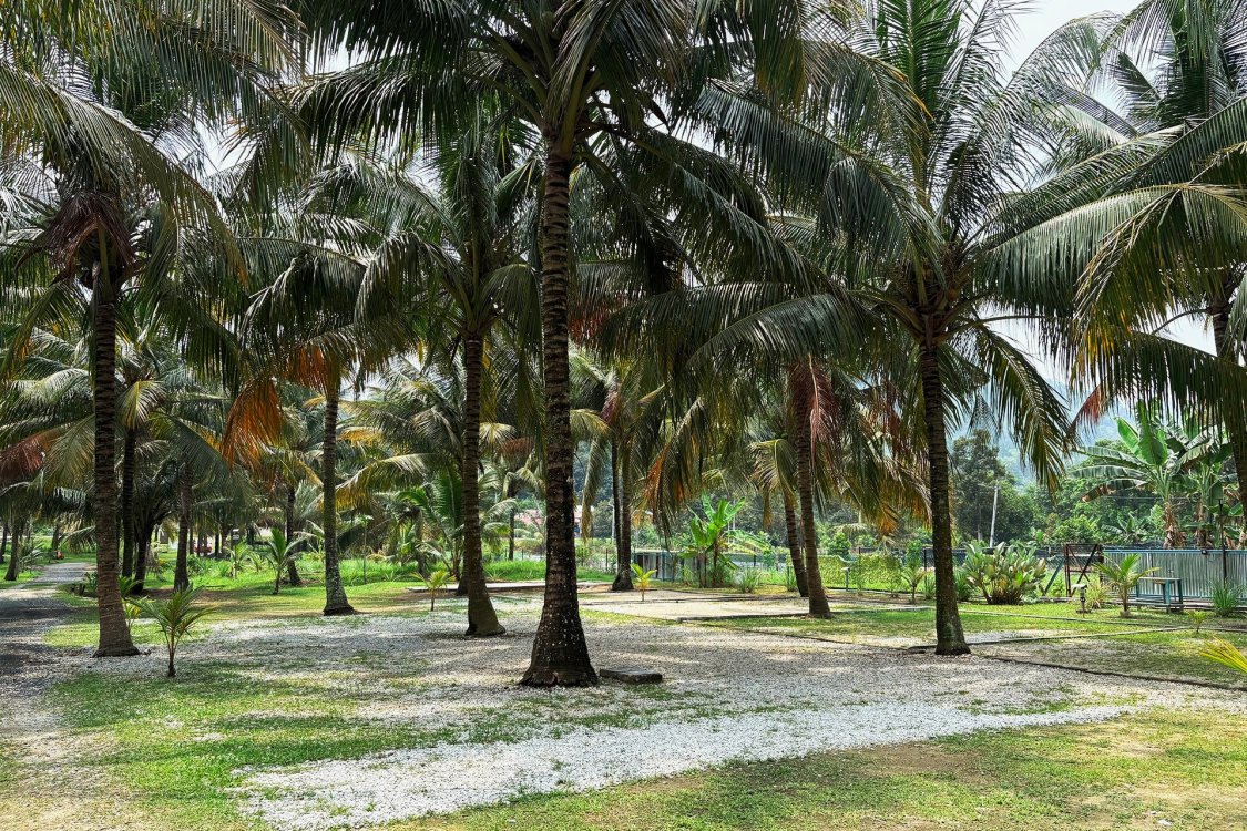 D'Nyiur Campsite | Escabee.com