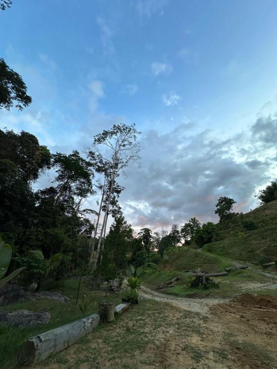 Tanah Chik | Escabee.com