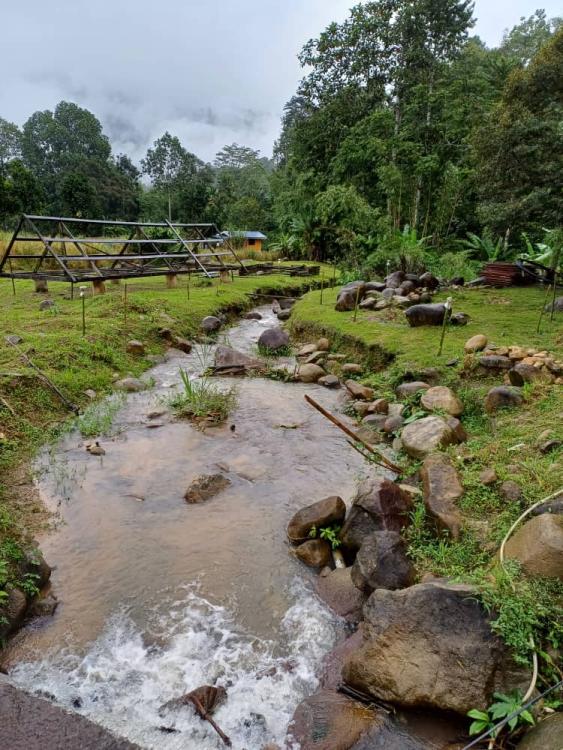 Lemuni Janda Baik Campsite | Escabee.com