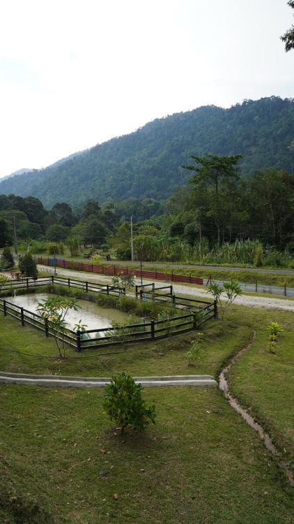 Uncle JO Retreat | Escabee.com