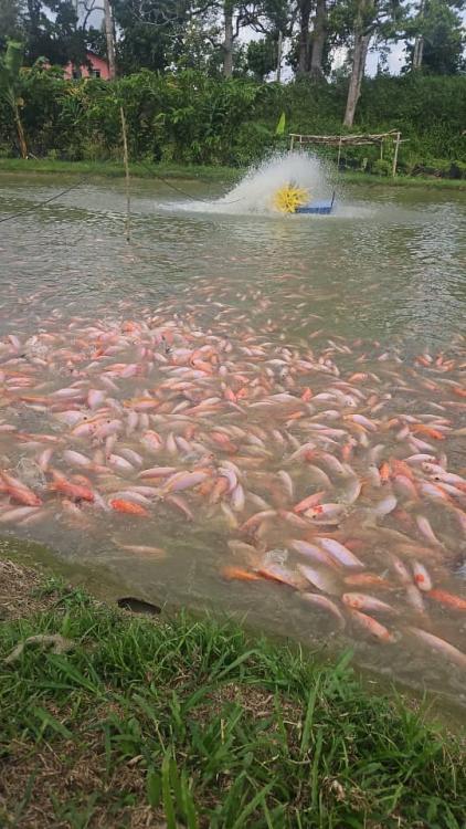 Fishing Village Campsites | Escabee.com