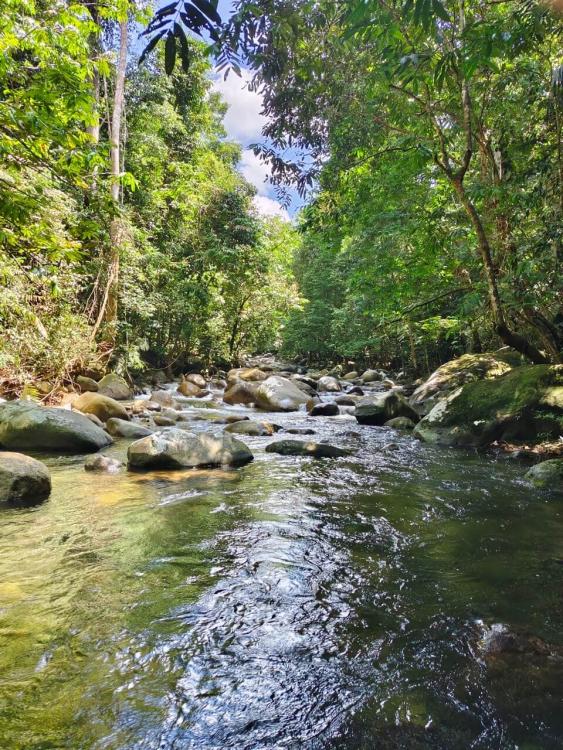 Laman Rindu Campsite, Sg Bil | Escabee.com