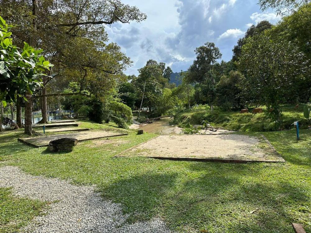 Kebun Chenta | Escabee.com