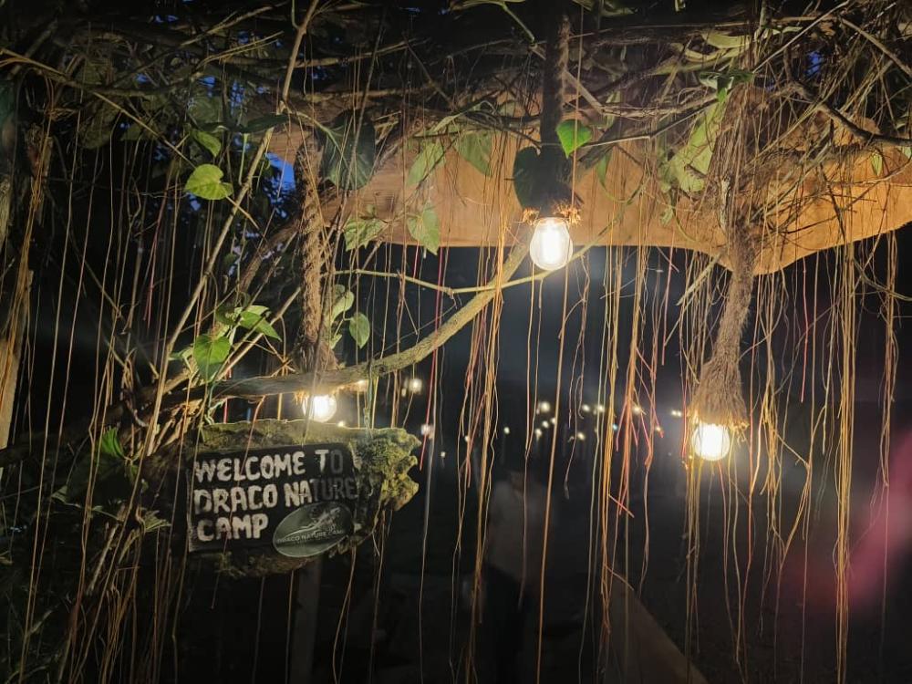 Draco Nature Camp | Escabee.com