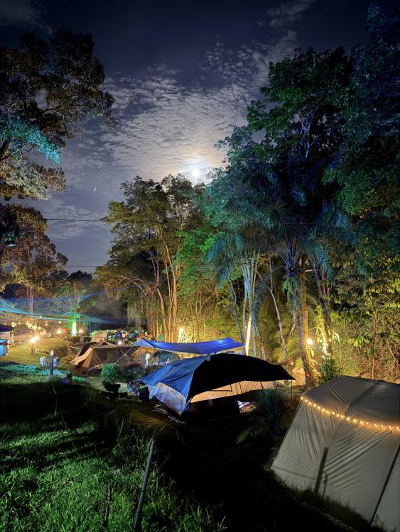 Camp Mantap | Escabee.com