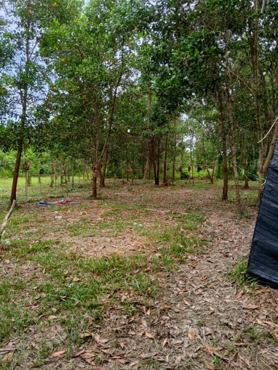 Campsite Alor Pasir | Escabee.com