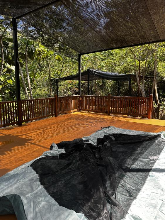 Rasa Hill | Escabee.com
