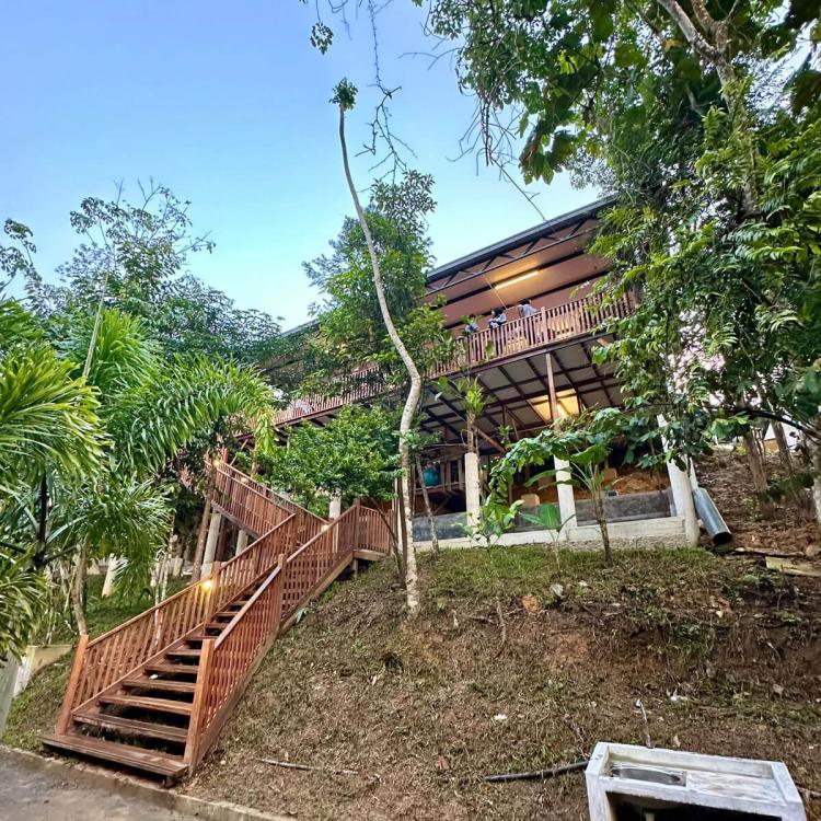 Rasa Hill | Escabee.com