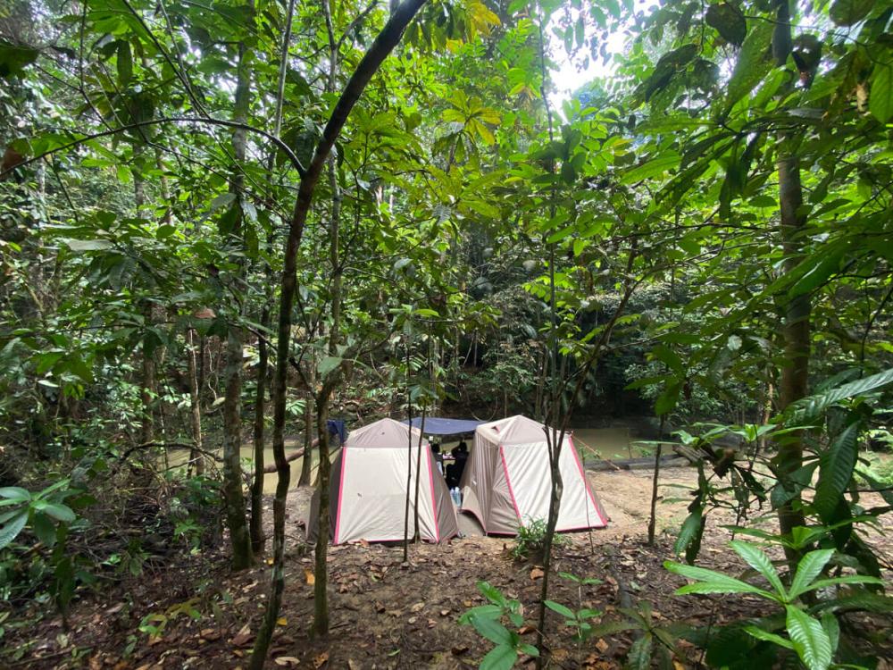 Tupai Emas Campsite | Escabee.com