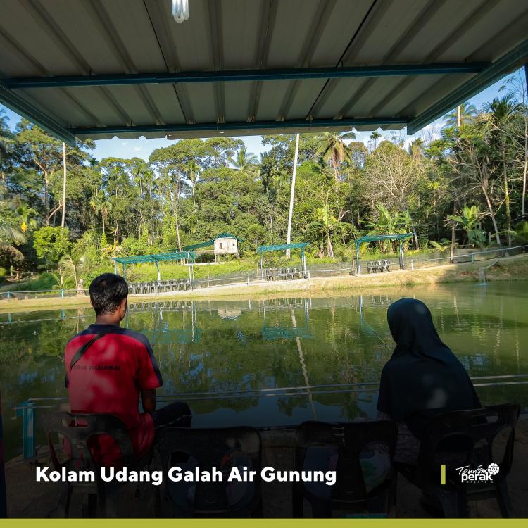 Kesuma Campsite | Escabee.com