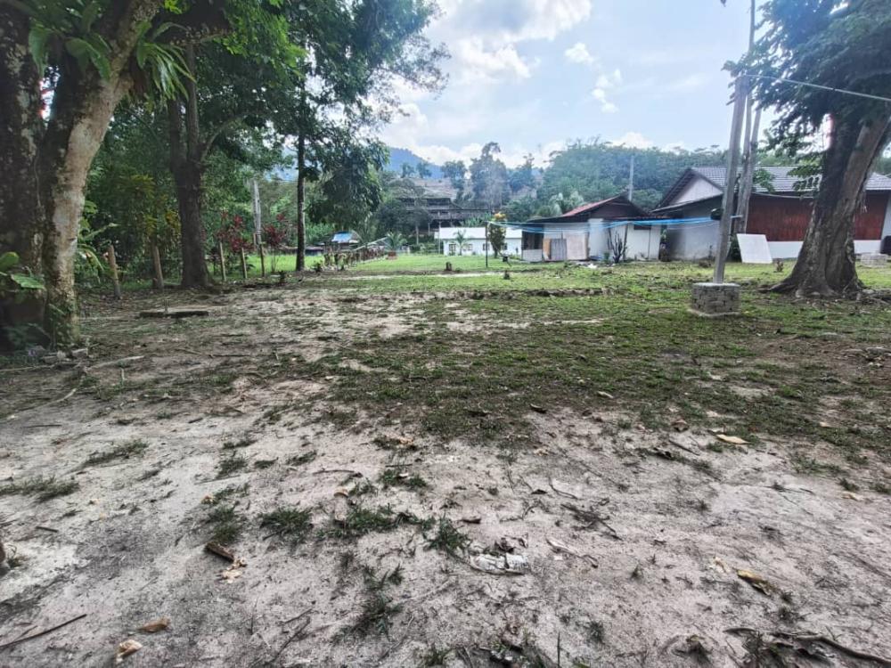 Ecotouria Sungai Congkak | Escabee.com