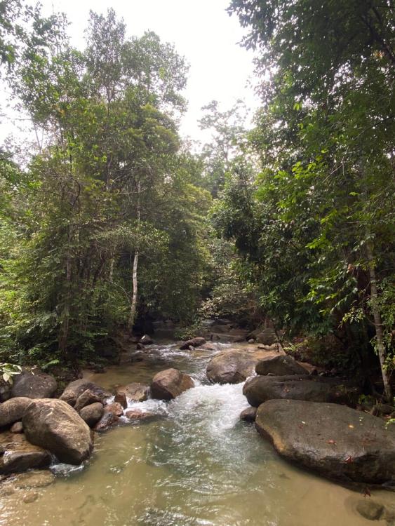 Tupai Emas Campsite | Escabee.com